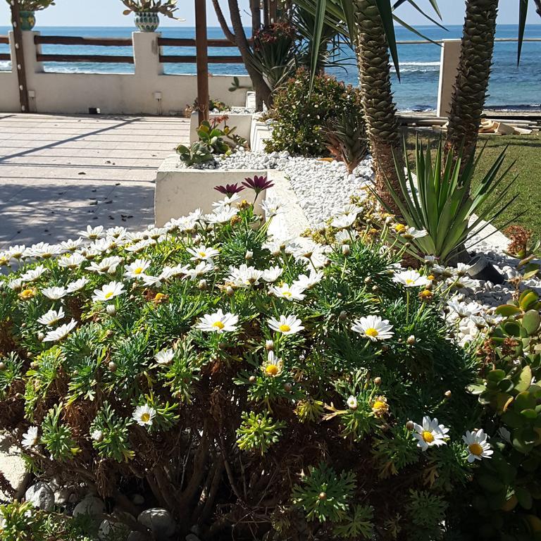 Hotel E Residence Il Faro Acciaroli Dış mekan fotoğraf